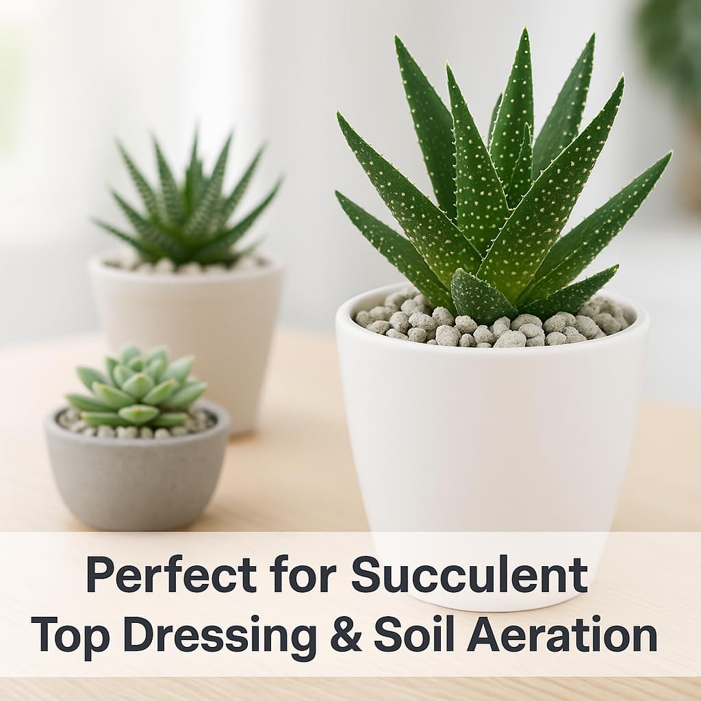 Horticultural Pumice for Plants, Natural Pumice Stone Soil Amendment, 3/8-1/4 inch, Made in USA (15 quarts - 13.5 lbs)