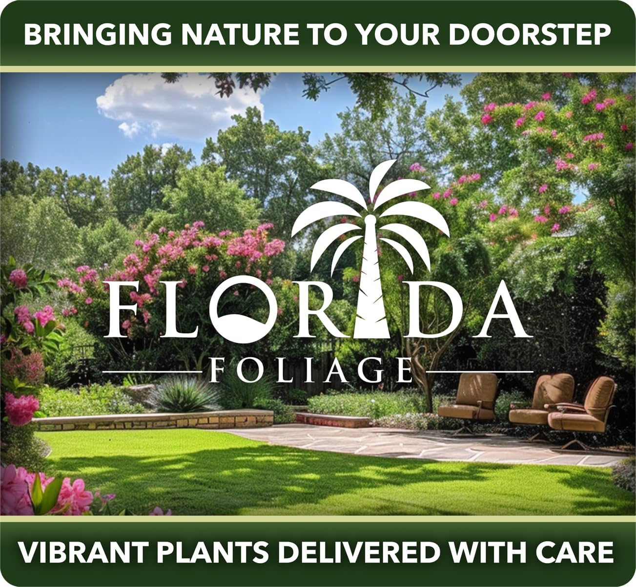 Oldhamii Bamboo | 3 Live Plants | Bambusa Oldhamii | Privacy Screen Bamboo | Fast-Growing Garden Foliage | Tall Decorative Landscape Specimen