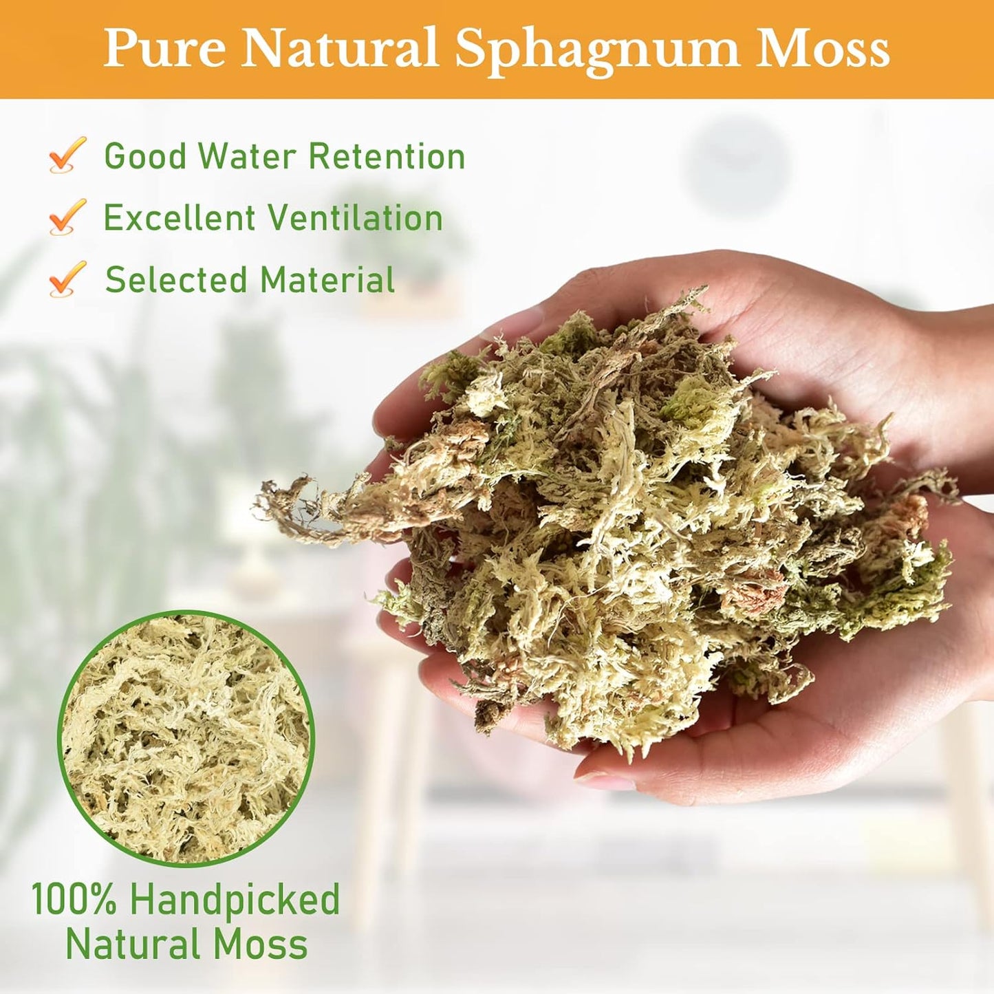 Riare 10 OZ Premium Sphagnum Moss- Natural Long Fibered Sphagnum Peat Moss Plants Moss Dried, Carnivorous Plants Moss Orchid Potting Mix for Orchids, Carnivorous Plants, Succulent (12QT)