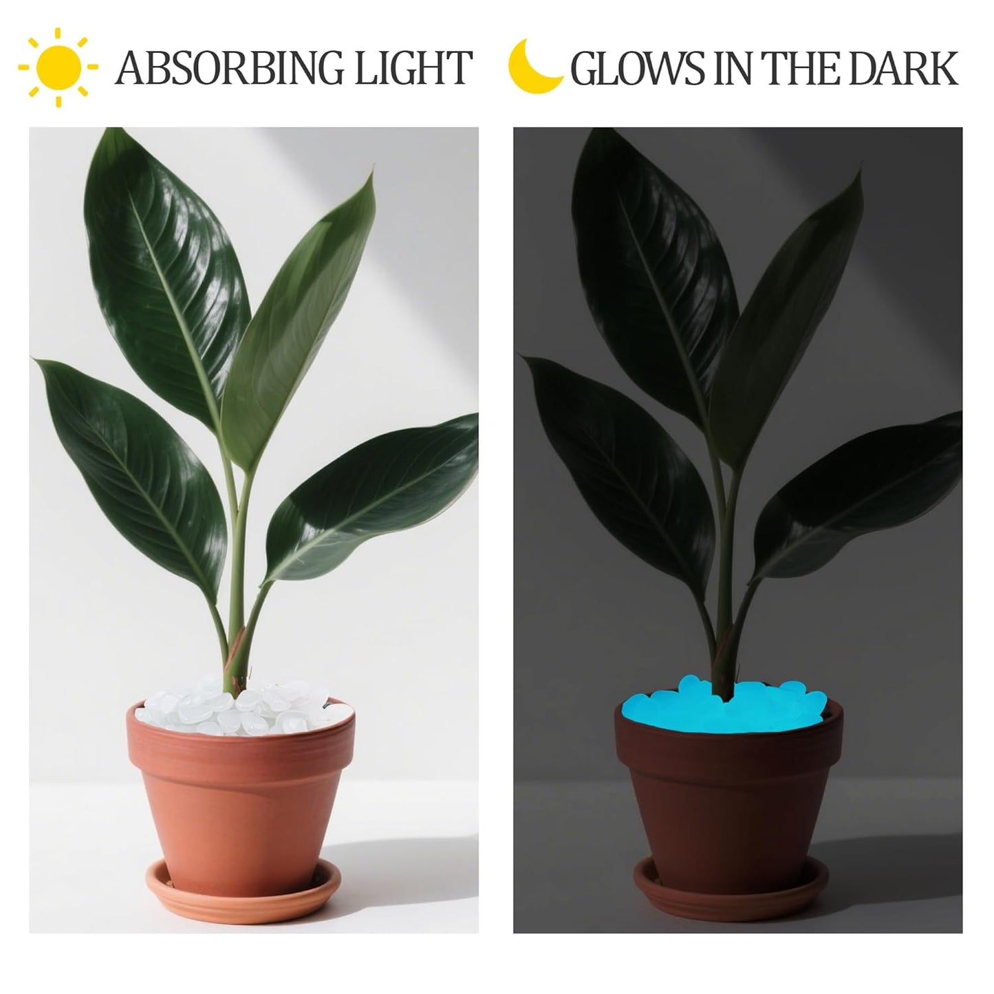 0.7LB 25-27mm White Glow in The Dark Stones Luminous Stones White Glow Stones for Yard Fish Tank Walkway Pathway Aquarium Garden Outdoor Decor