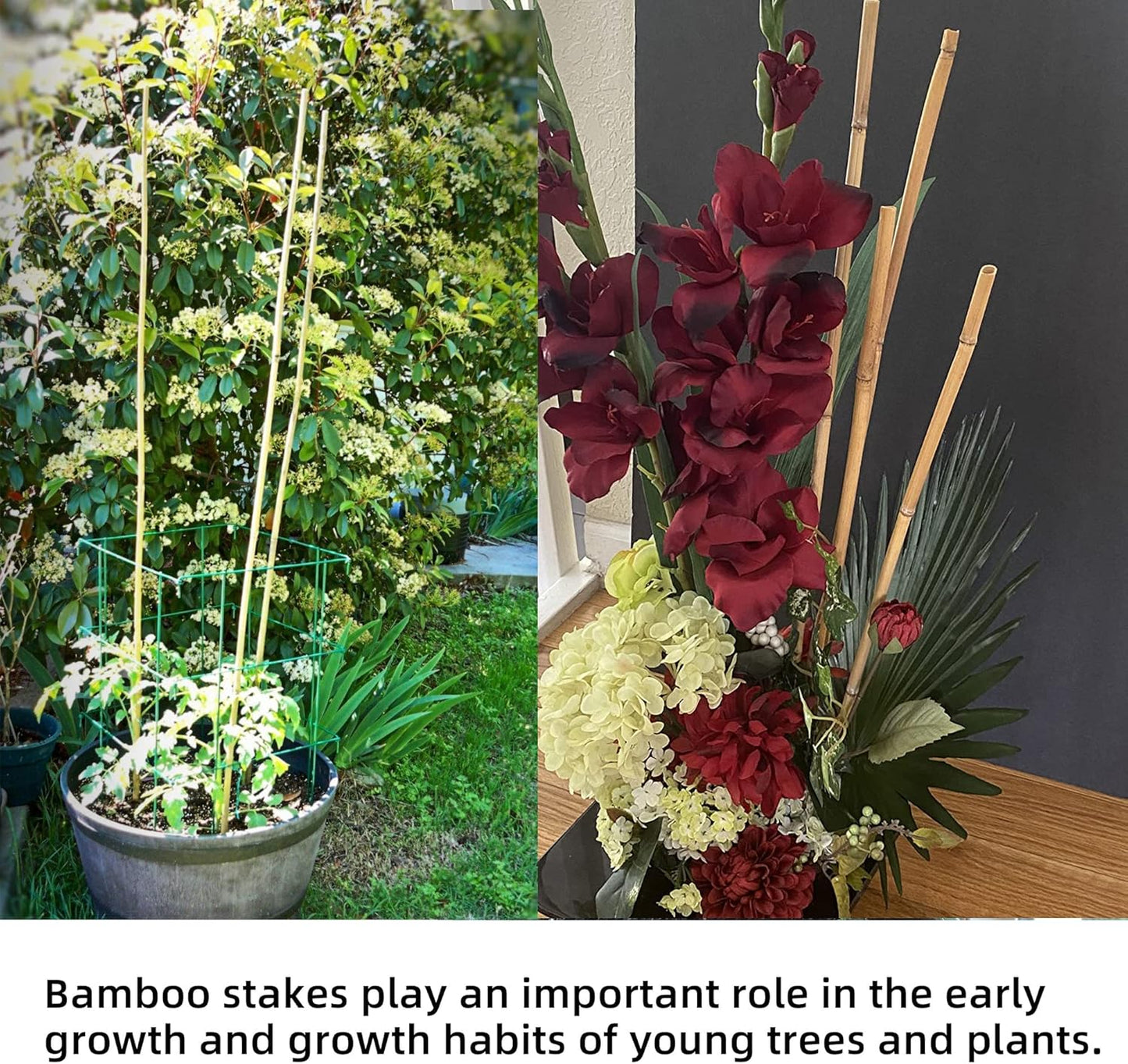 0.32”-0.4"/18Inch Garden Stakes, Natural Bamboo Sticks Plant Stakes for Indoor and Outdoor Plants，Poles for Tomatoes, Beans, Potted Plants(50Pcs)…