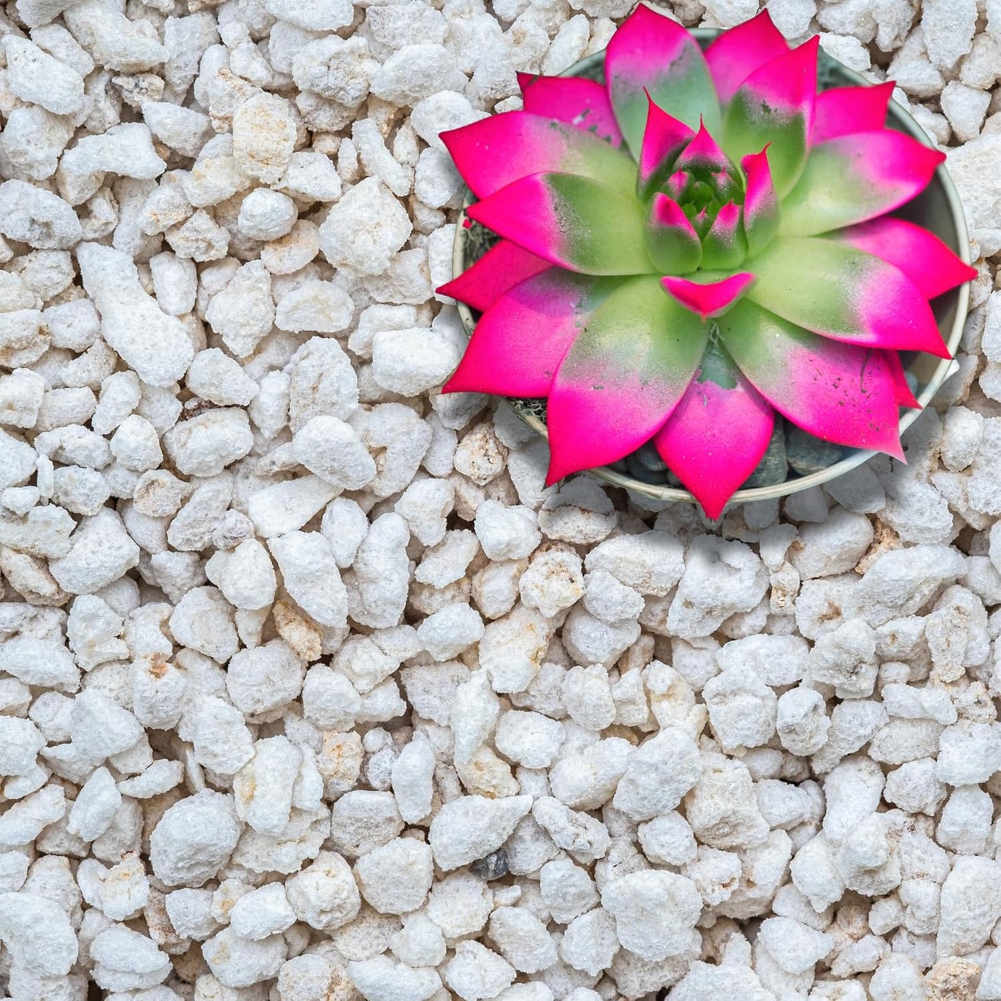 Perlite for Plants, Extra Coarse Grade 4 Horticultural Perlite, Organic Perlite for Gardening Indoor & Outdoor, Made in USA (15 quarts)